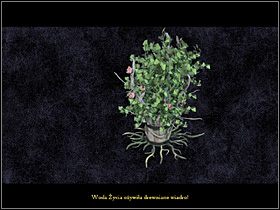 Teraz podchodzi do posągu i pociąga za jego prawą rękę - Zdobyć żywą wodę | Wioska | Zaginiona historia Tale of Hero - Zaginiona historia: Tale of Hero - poradnik do gry