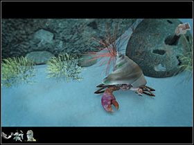 Teraz pora odszukać kraba Fenintaira, zatem powróciwszy na Nomasie na klify, nasz bohater kolejny raz wędruje pogadać z Velianą, a w zasadzie potraktować ją rozgwiazdą, co nie spotyka się z zachwytem zrzędliwej małży - Odnaleźć Maleństwo i kraba Fenintaira | Głębiny oceanu - Zaginiona historia: Tale of Hero - poradnik do gry