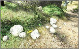 11 - Rozdział III - Na-Tiexu (Duchowy Świat) | Opis przejścia Aura Fate of the Ages - Aura: Fate of the Ages - poradnik do gry