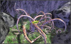 3 - Rozdział III - Na-Tiexu (Magiczny Świat) | Opis przejścia Aura Fate of the Ages - Aura: Fate of the Ages - poradnik do gry