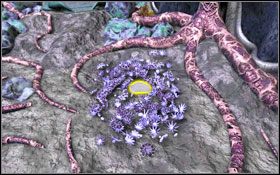 9 - Rozdział III - Na-Tiexu (Kryształowy Świat) | Opis przejścia - Aura: Fate of the Ages - poradnik do gry