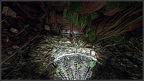 Teraz trzeba było usunąć próchno znajdujące się na dalszej drodze - Rozdział 2 The Search for El Dorado (cz.1) | Przygoda Uncharted Drakes Fortune - Uncharted: Drakes Fortune - poradnik do gry