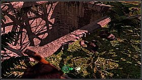 Nathan wyszedł z powrotem do dżungli - Rozdział 20 Race to the Rescue | Przygoda | Solucja Uncharted Drakes Fortune - Uncharted: Drakes Fortune - poradnik do gry