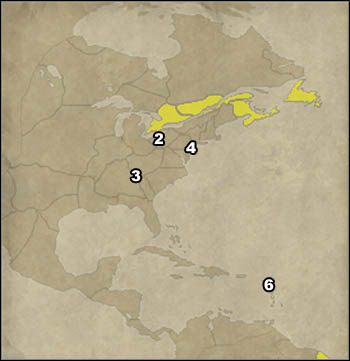 2 - Francja | Wielka Kampania w Empire Total War - Empire: Total War - poradnik do gry