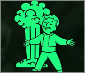 Nuclear Anomaly - lvl30 - Fallout 3: Inne Broken Steel - Fallout 3 - poradnik do gry
