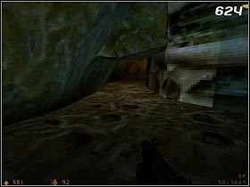 Wylecz wszystkie rany, a następnie przyjrzyj się ścianie po lewej stronie - [Opis przejścia Half-Life] Xen - Half-Life - poradnik do gry