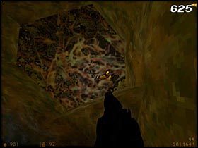 5 - [Opis przejścia Half-Life] Xen - Half-Life - poradnik do gry