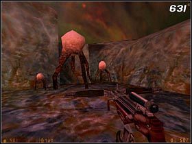 2 - [Opis przejścia Half-Life] Gonarchs Lair - Half-Life - poradnik do gry