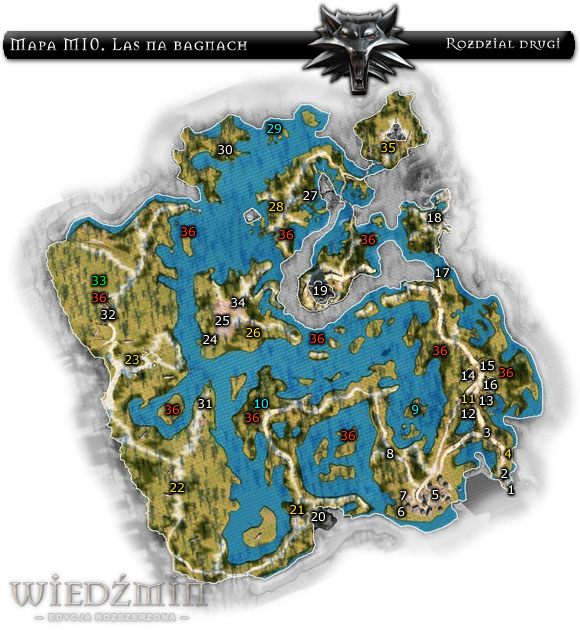 Las na bagnach jest lokacją niebezpieczną przez całą dobę - Mapa 10 - Las na Bagnach | Rozdział 2 | Solucja Wiedźmin - Wiedźmin: Edycja Rozszerzona - poradnik do gry