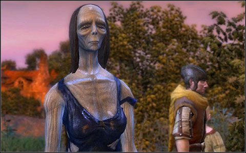 Faza 20 - Zadania główne (cz.3) | Rozdział 4 | Solucja Wiedźmin - Wiedźmin: Edycja Rozszerzona - poradnik do gry