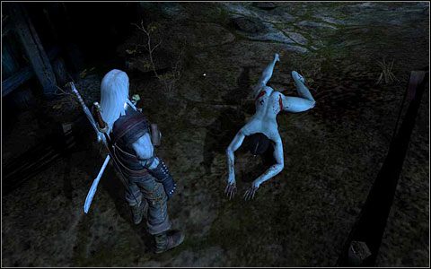 Faza 2 - Zadania poboczne (cz.2) | Rozdział 5 | Solucja Wiedźmin - Wiedźmin: Edycja Rozszerzona - poradnik do gry