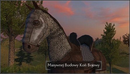 Oprócz standardowych typów koni, w grę wchodzi jeszcze jakość każdego z nich, która informuje o tym jak wysoko w hierarchii danego typu stoi dany koń - Konie | Ekwipunek | Mount & Blade - Mount & Blade - poradnik do gry