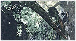 Macki - nie można ich zlikwidować - Poradnik do gry - Przeciwnicy | Legendary - Legendary - poradnik do gry