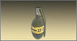 Granat M99-R - przystosowany do zdalnej detonacji, najlepiej sprawdza się na większej ilości wrogów - Broń | Legendary - Legendary - poradnik do gry