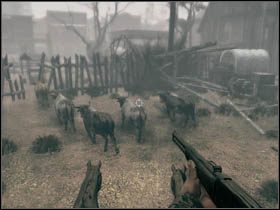 W pewnym momencie zaczniecie taranować ogrodzenia, aż utkniecie na stadzie krów (ewentualnie innych byków) - Opis przejścia | Rozdział III | Call of Juarez Więzy Krwi - Call of Juarez: Więzy Krwi - poradnik do gry