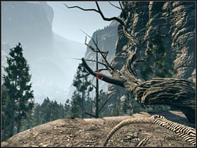 Następnie skorzystaj z kolejnego drzewa i przy użyciu lassa zejdź na duł - Postacie | Rozdział X | Call of Juarez Więzy Krwi - Call of Juarez: Więzy Krwi - poradnik do gry