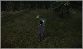 #6 - Godła 1-10 | Godła w Harry Potter i Książę Półkrwi - Harry Potter i Książę Półkrwi - poradnik do gry