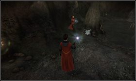 #38 - Godła 31-40 | Godła w Harry Potter i Książę Półkrwi - Harry Potter i Książę Półkrwi - poradnik do gry