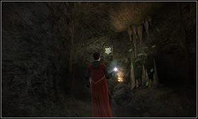 #39 - Godła 31-40 | Godła w Harry Potter i Książę Półkrwi - Harry Potter i Książę Półkrwi - poradnik do gry