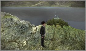 #101 - Godła 101-110 | Godła w Harry Potter i Książę Półkrwi - Harry Potter i Książę Półkrwi - poradnik do gry