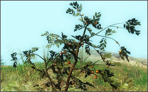 Faza 2 - Questy poboczne Cichej Wólki (cz.2) | Upiory w Cichej Wólce - Wiedźmin - poradnik