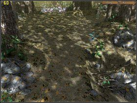 4 - Etap trzeci - Magic Forest | Opis przejścia The Legend of Crystal Valley - The Legend of Crystal Valley - poradnik do gry