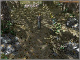 5 - Etap trzeci - Magic Forest | Opis przejścia The Legend of Crystal Valley - The Legend of Crystal Valley - poradnik do gry