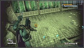 [#5] Lokalizacja 5: Aviary (Botanical Gardens) - Botanical Gardens - Sekrety (cz.1) | Sekrety | Batman Arkham Asylum - Batman: Arkham Asylum - poradniki