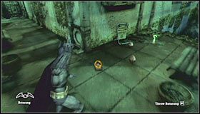 [#6] Lokalizacja 6: Flooded Corridor (Botanical Gardens) - Botanical Gardens - Sekrety (cz.1) | Sekrety | Batman Arkham Asylum - Batman: Arkham Asylum - poradniki