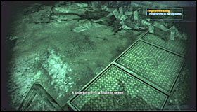 5 - Botanical Gardens - Sekrety (cz.2) | Sekrety | Batman Arkham Asylum - Batman: Arkham Asylum - poradniki