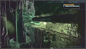 7 - Botanical Gardens - Sekrety (cz.2) | Sekrety | Batman Arkham Asylum - Batman: Arkham Asylum - poradniki