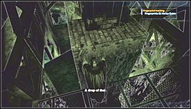 15 - Botanical Gardens - Sekrety (cz.3) | Sekrety | Batman Arkham Asylum - Batman: Arkham Asylum - poradniki