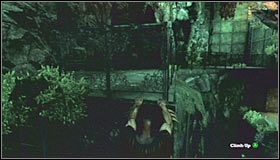 5 - Botanical Gardens (cz.2) | Opis przejścia Batman Arkham Asylum - Batman: Arkham Asylum - poradniki