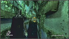 6 - Botanical Gardens (cz.3) | Opis przejścia Batman Arkham Asylum - Batman: Arkham Asylum - poradniki