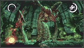 Pnącza będą pojawiały się w jednym z trzech różnych miejsc - po lewej stronie, w środku lub po prawej stronie - Botanical Gardens #2 | Opis przejścia Batman Arkham Asylum - Batman: Arkham Asylum - poradniki