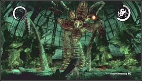 7 - Botanical Gardens #2 | Opis przejścia Batman Arkham Asylum - Batman: Arkham Asylum - poradniki