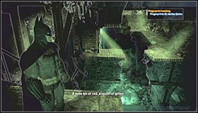 10 - Botanical Gardens (cz.2) | Sekrety Batman Arkham Asylum - Batman: Arkham Asylum - poradniki