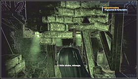 13 - Botanical Gardens (cz.3) | Sekrety Batman Arkham Asylum - Batman: Arkham Asylum - poradniki