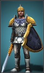 Wojownicy stanowią podstawę naszej armii - Wojownik, Łotrzyca, Łowca, Kleryczka i Mag | Bohaterowie | Majesty 2 - Majesty 2: Symulator Królestwa Fantasy - poradnik do gry