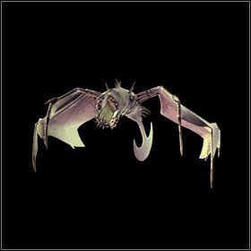 Flying Undead - Bestiariusz - cz. 1 | Bestiariusz | Divinity II Ego Draconis - Divinity II: Ego Draconis - poradniki