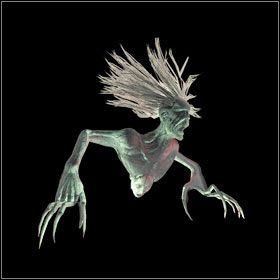 Crawler - Bestiariusz - cz. 1 | Bestiariusz | Divinity II Ego Draconis - Divinity II: Ego Draconis - poradniki