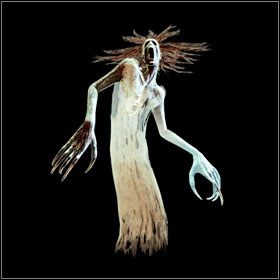 Real Ghost - Bestiariusz - cz. 1 | Bestiariusz | Divinity II Ego Draconis - Divinity II: Ego Draconis - poradniki