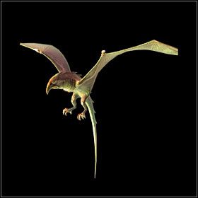 Wyvern - Bestiariusz - cz. 1 | Bestiariusz | Divinity II Ego Draconis - Divinity II: Ego Draconis - poradniki