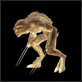 Creature - Pet - Bestiariusz - cz. 1 | Bestiariusz | Divinity II Ego Draconis - Divinity II: Ego Draconis - poradniki