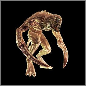 Creature - Undead - Bestiariusz - cz. 1 | Bestiariusz | Divinity II Ego Draconis - Divinity II: Ego Draconis - poradniki