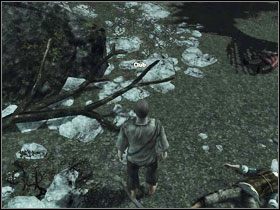 Naszym zadaniem jest odnalezienie pozostałych przy życiu rozbitków - Prolog w Risen - Risen - poradnik do gry