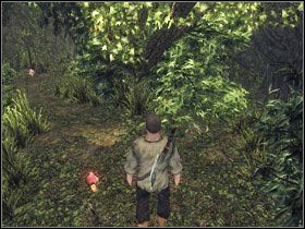 W połowie drogi między ciałem ptaka, a topielcem, odwracamy się w stronę wyspy i mijając skały po lewej, zagłębiamy się w puszczę - Prolog w Risen - Risen - poradnik do gry