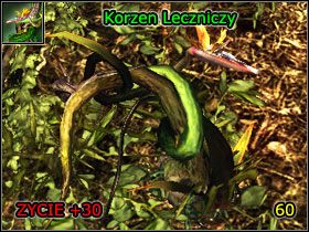 Leonardo (M2 - Miasto Harbor (5) | Rozdział 1 | Solucja Risen - Risen - poradnik do gry