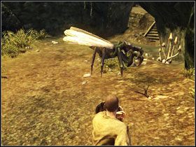 Ignatius (M4 - Wulkaniczna Twierdza - (3) | Rozdział 1 | Solucja Risen - Risen - poradnik do gry