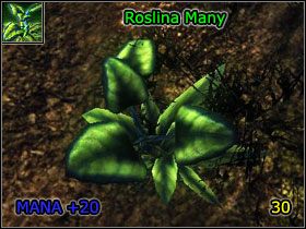 Alchemik (M4 - Wulkaniczna Twierdza - (4) | Rozdział 1 | Solucja Risen - Risen - poradnik do gry